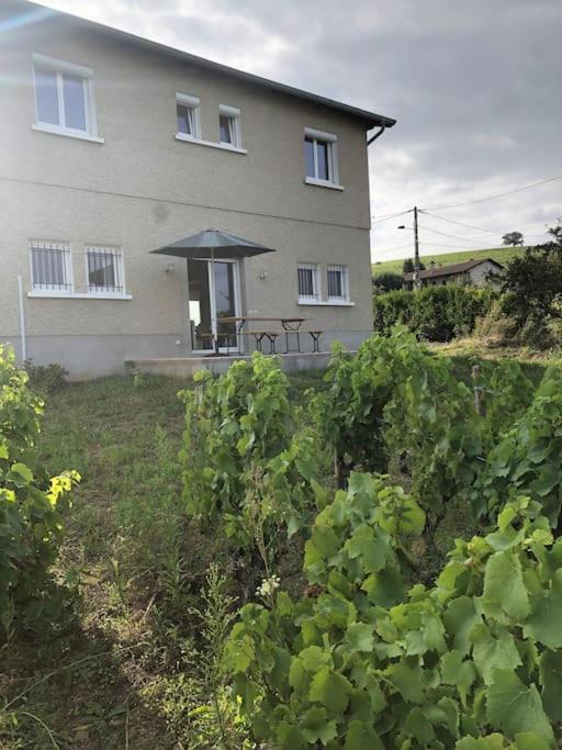 Petit Gite De Javernieres Rez De Jardin Villié-Morgon Zewnętrze zdjęcie